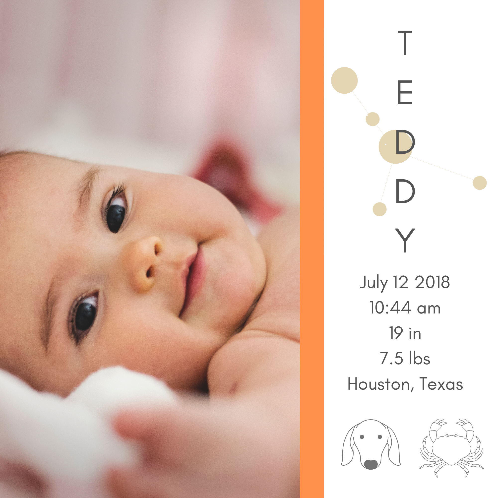 10x10" Custom Photo Book