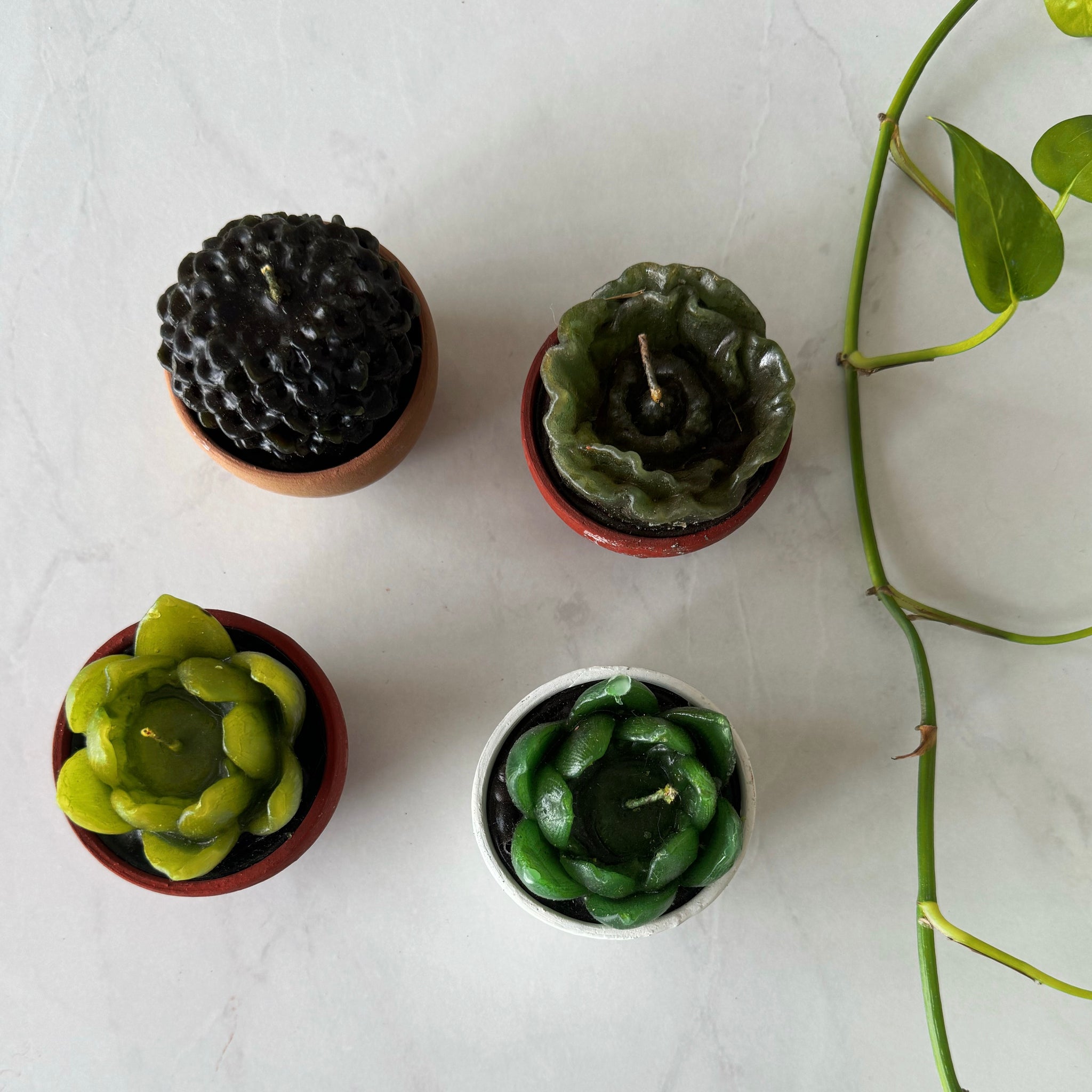 Mexican Cactus Candle