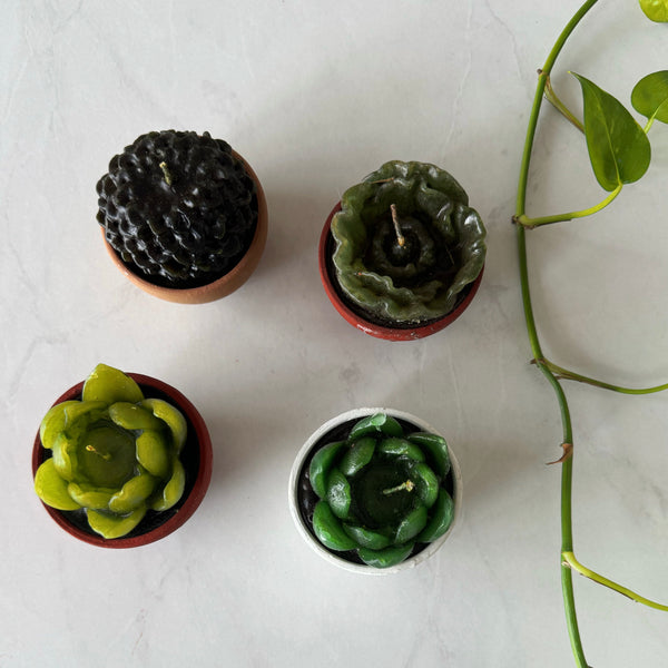 Mexican Cactus Candle