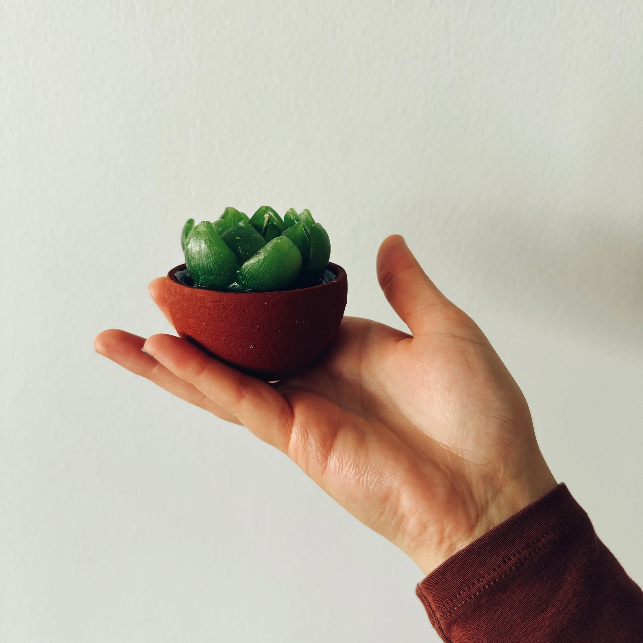 Mexican Cactus Candle
