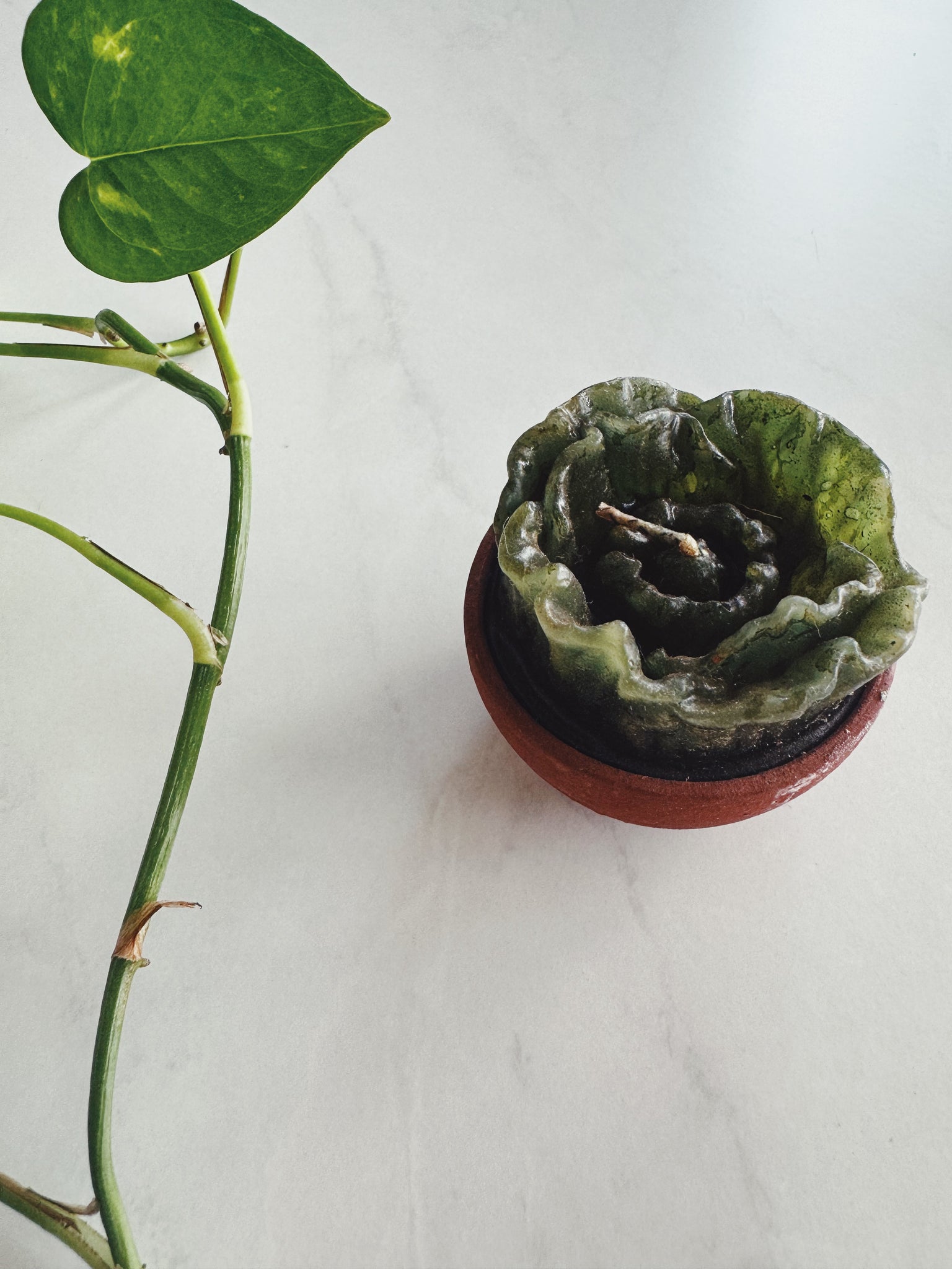 Mexican Cactus Candle