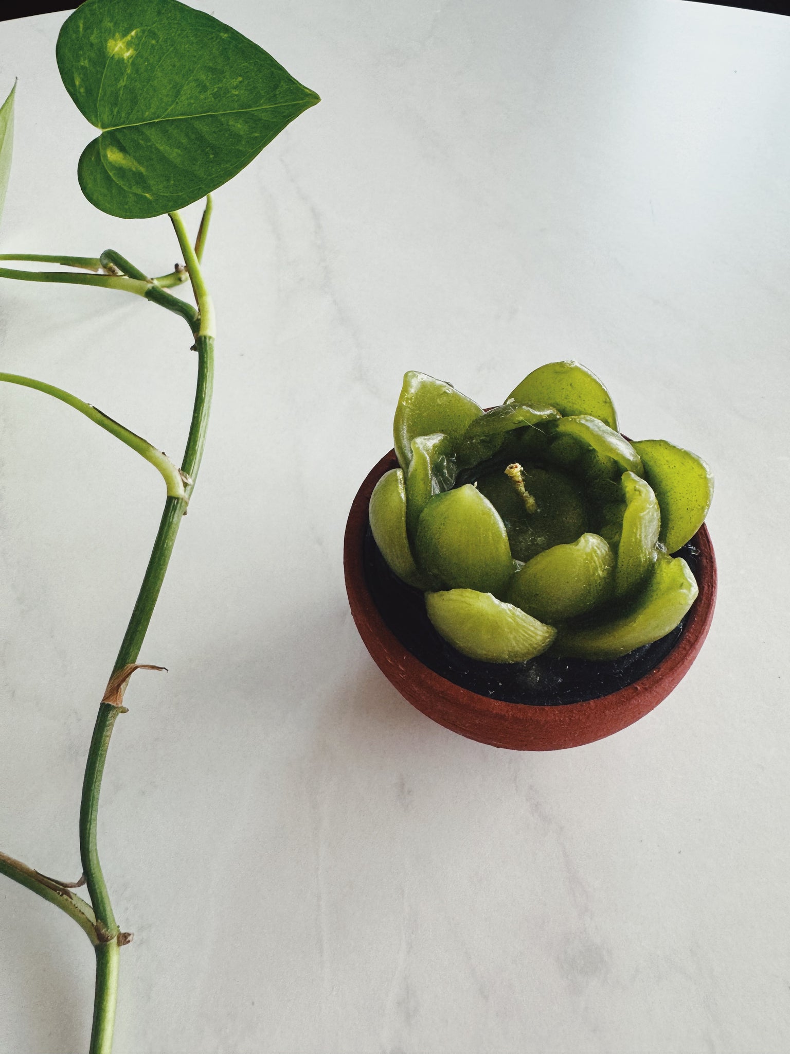 Mexican Cactus Candle