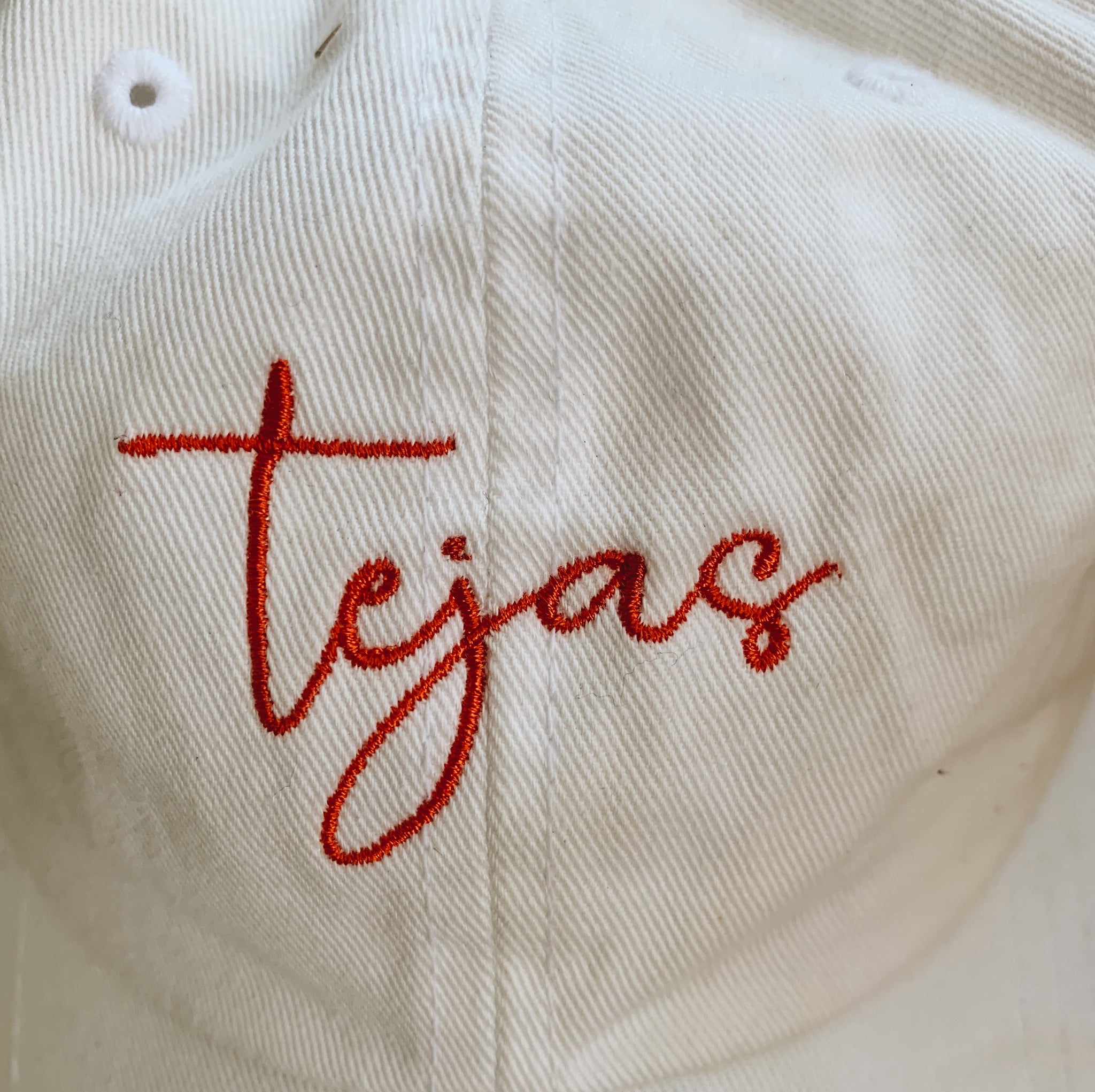 Tejas Texas State Embroidered Dad hat Pura Vida
