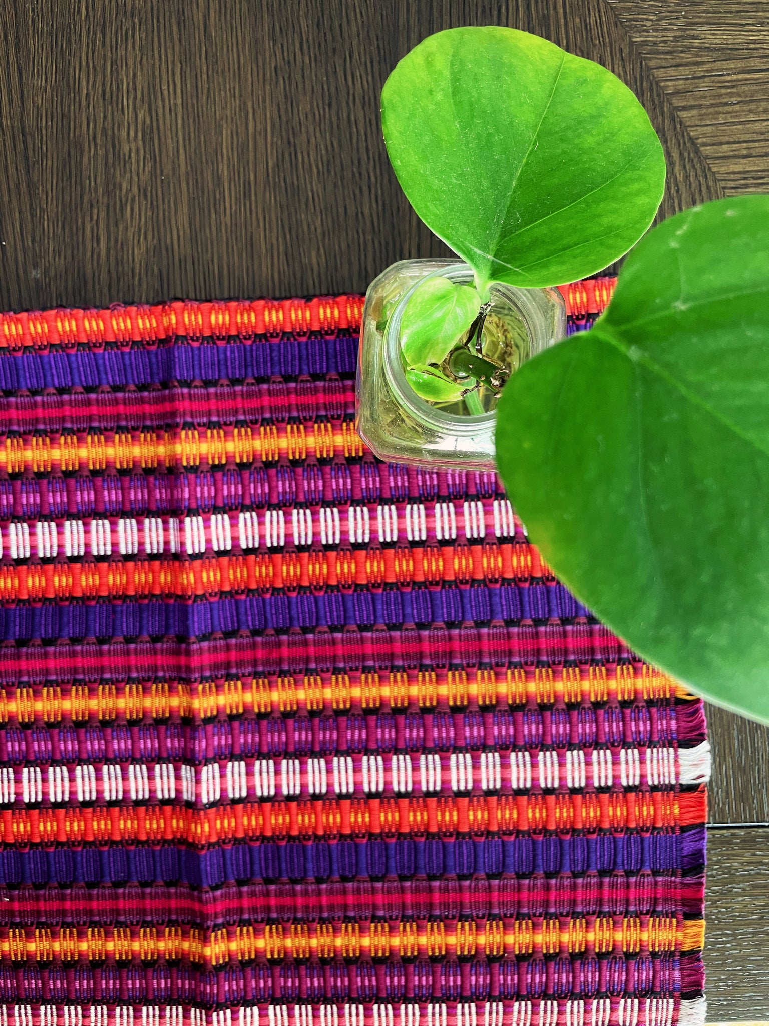 Mexican Cotton Placemats Pura Vida