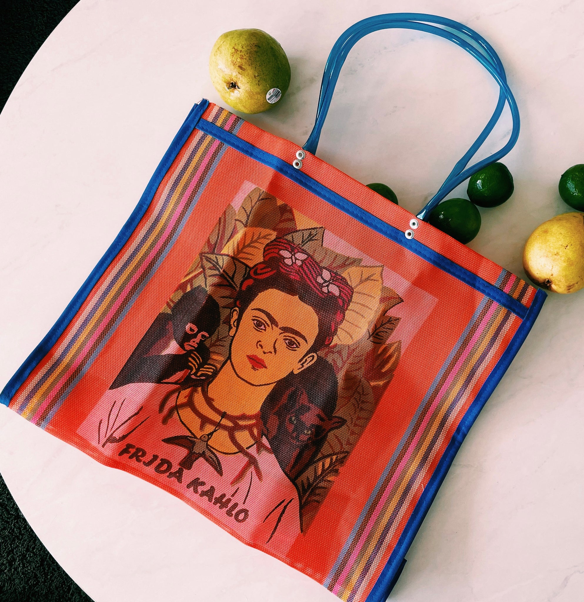 Mexican Two Side Frida Plastic Tote Purse 17 x14 in Pura Vida