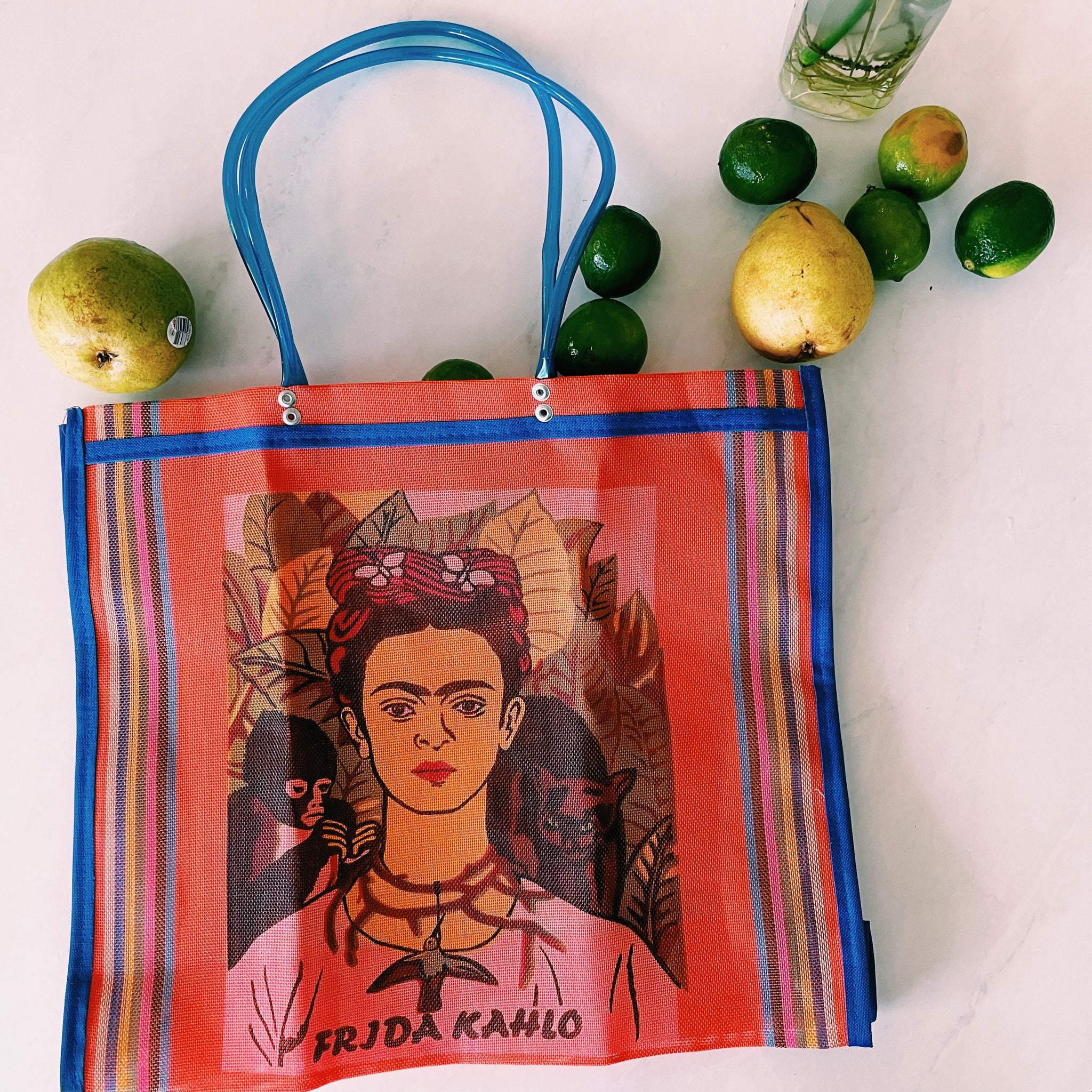Mexican Two Side Frida Plastic Tote Purse 17 x14 in Pura Vida