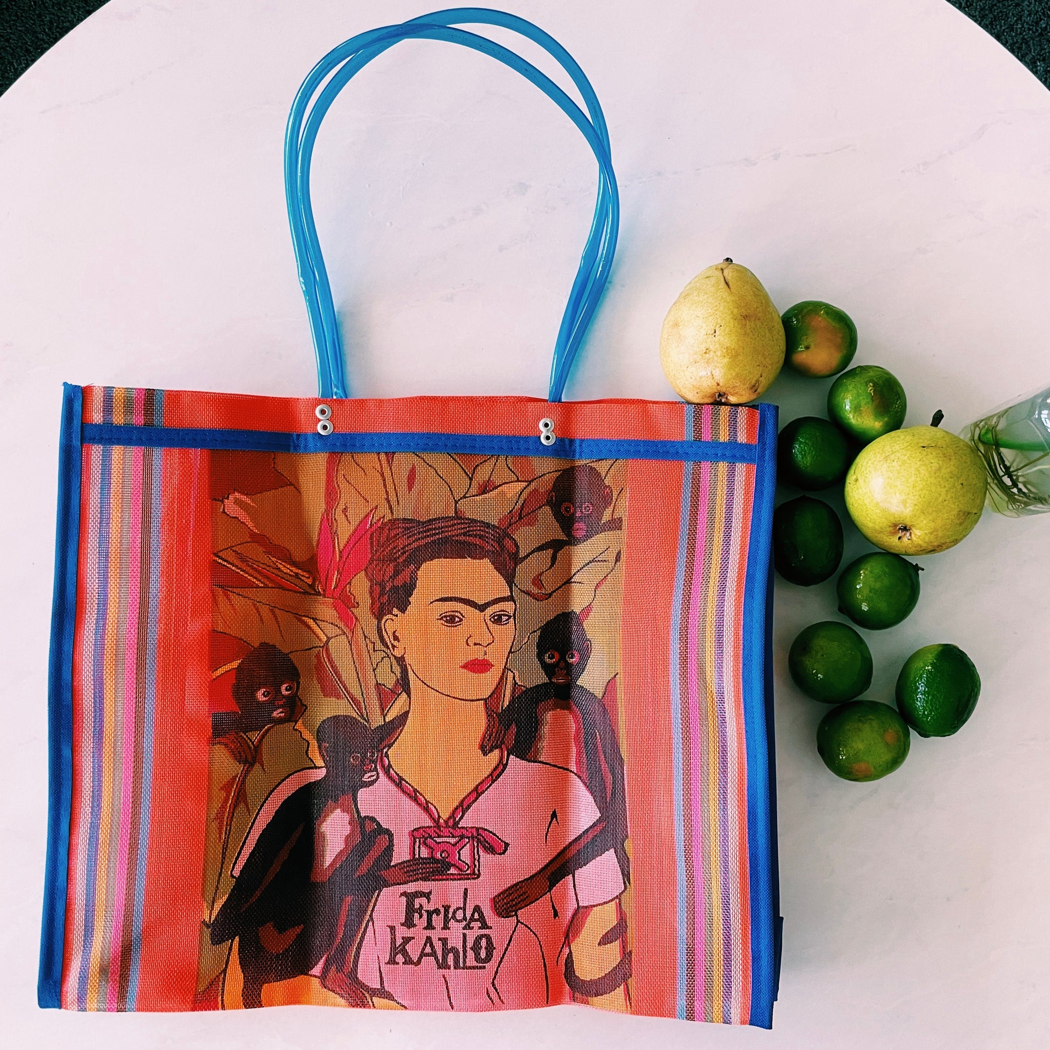 Mexican Two Side Frida Plastic Tote Purse 17 x14 in Pura Vida