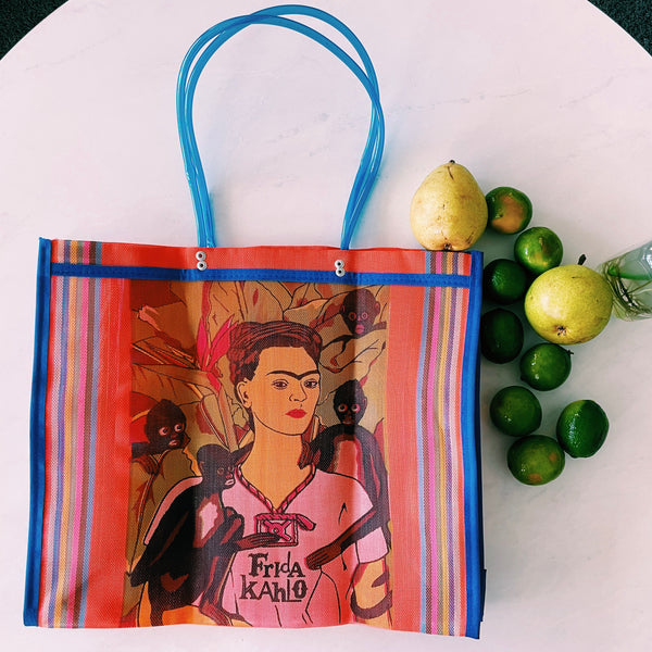 Mexican Two Side Frida Plastic Tote Purse 17 x14 in Pura Vida