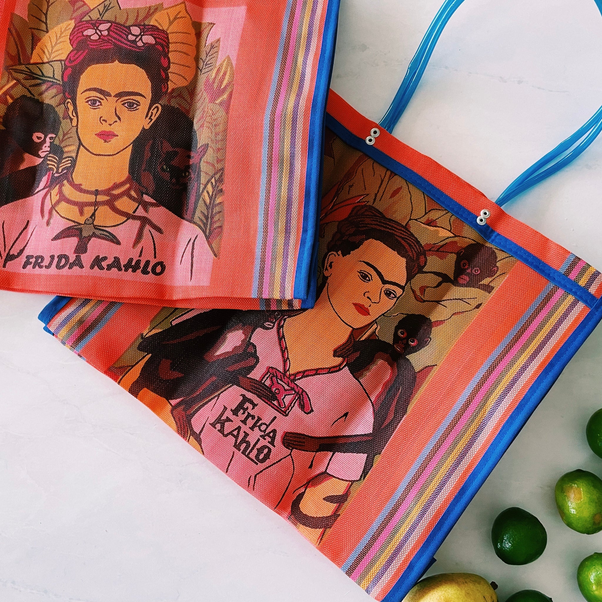 Mexican Two Side Frida Plastic Tote Purse 17 x14 in Pura Vida