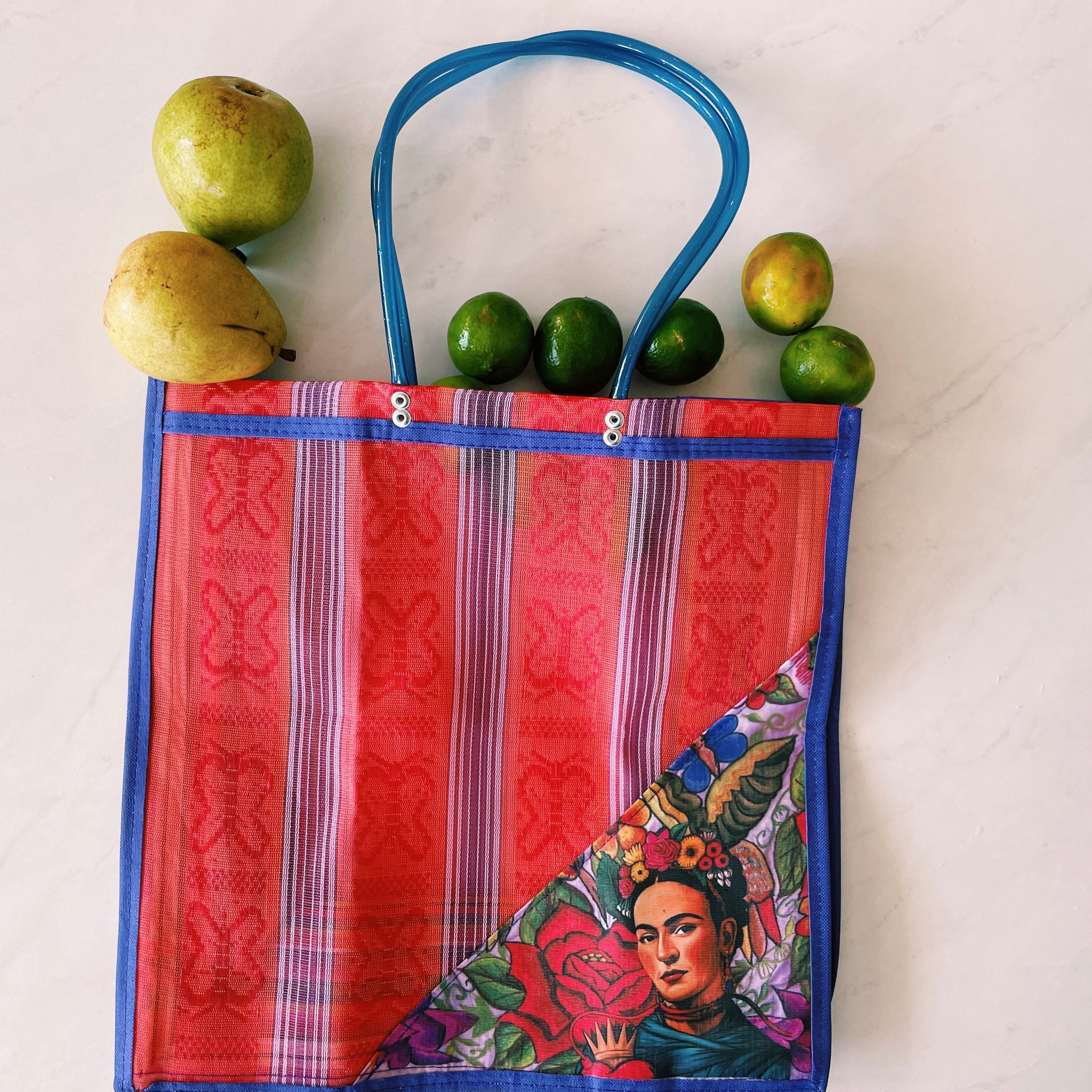 Mexican Triangle Frida Plastic Tote Purse 15 x15 in Pura Vida