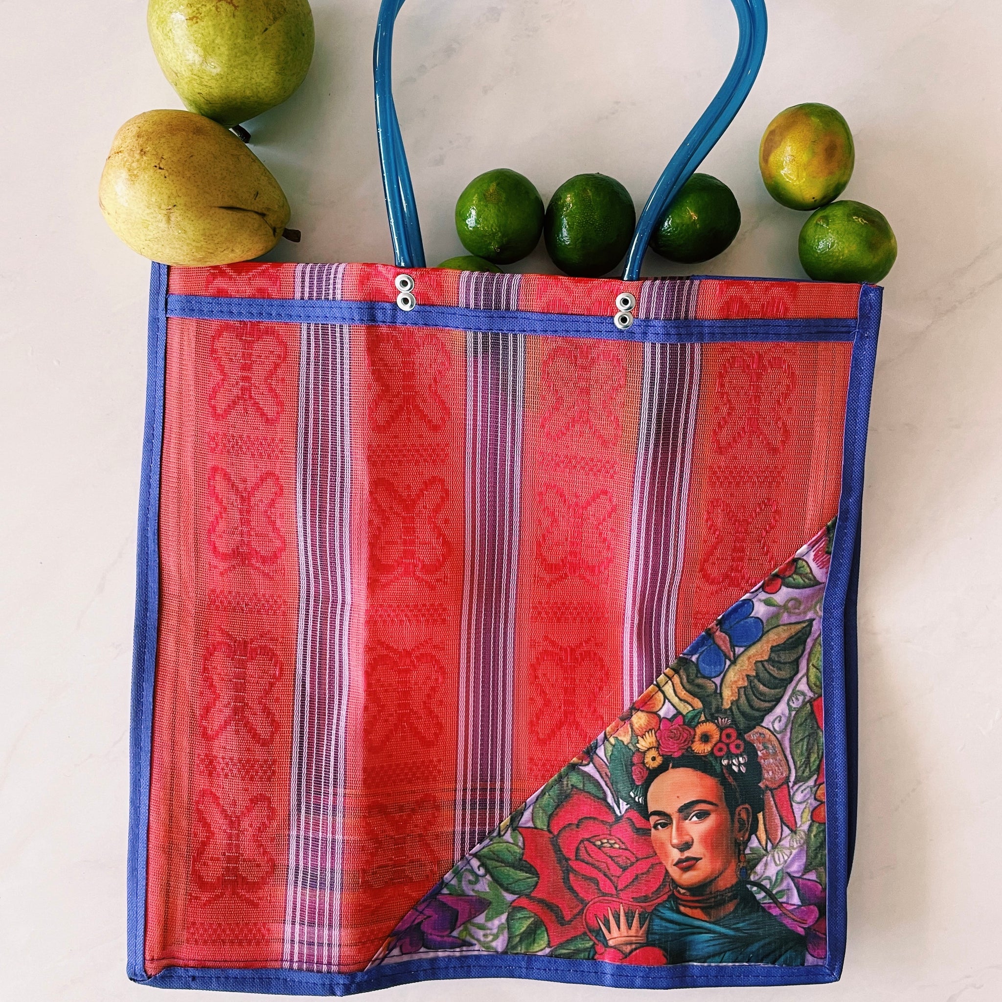Mexican Triangle Frida Plastic Tote Purse 15 x15 in Pura Vida