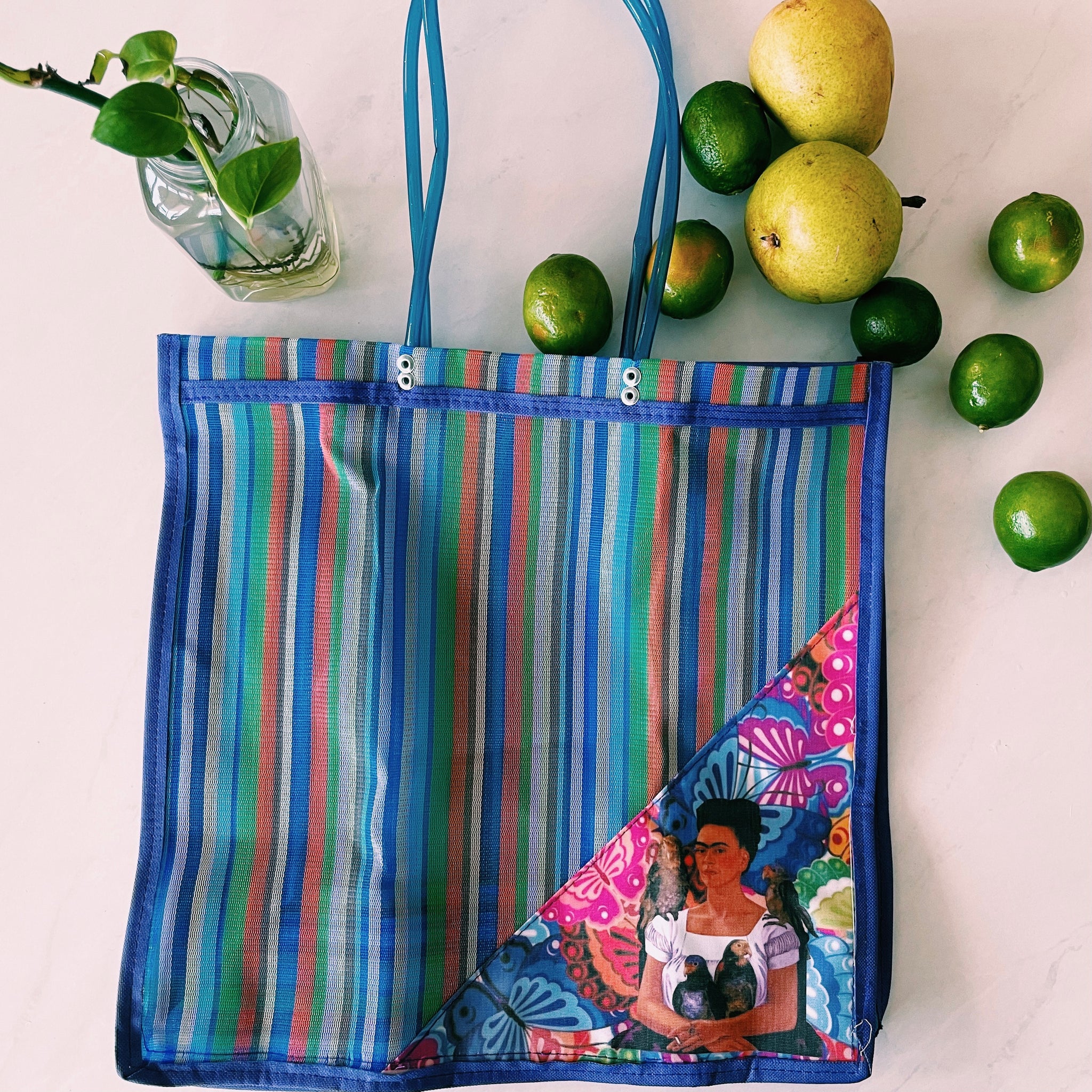 Mexican Triangle Frida Plastic Tote Purse 15 x15 in Pura Vida