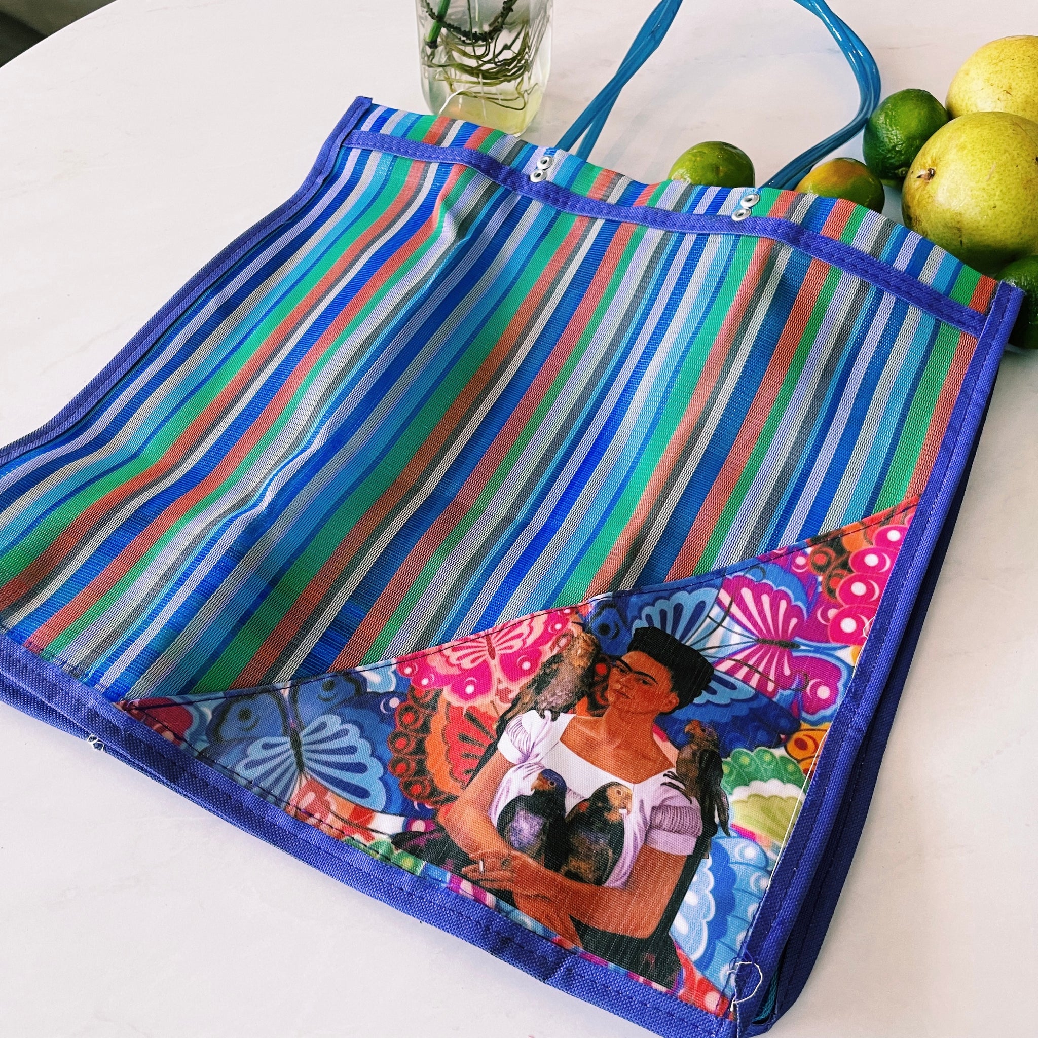 Mexican Triangle Frida Plastic Tote Purse 15 x15 in Pura Vida