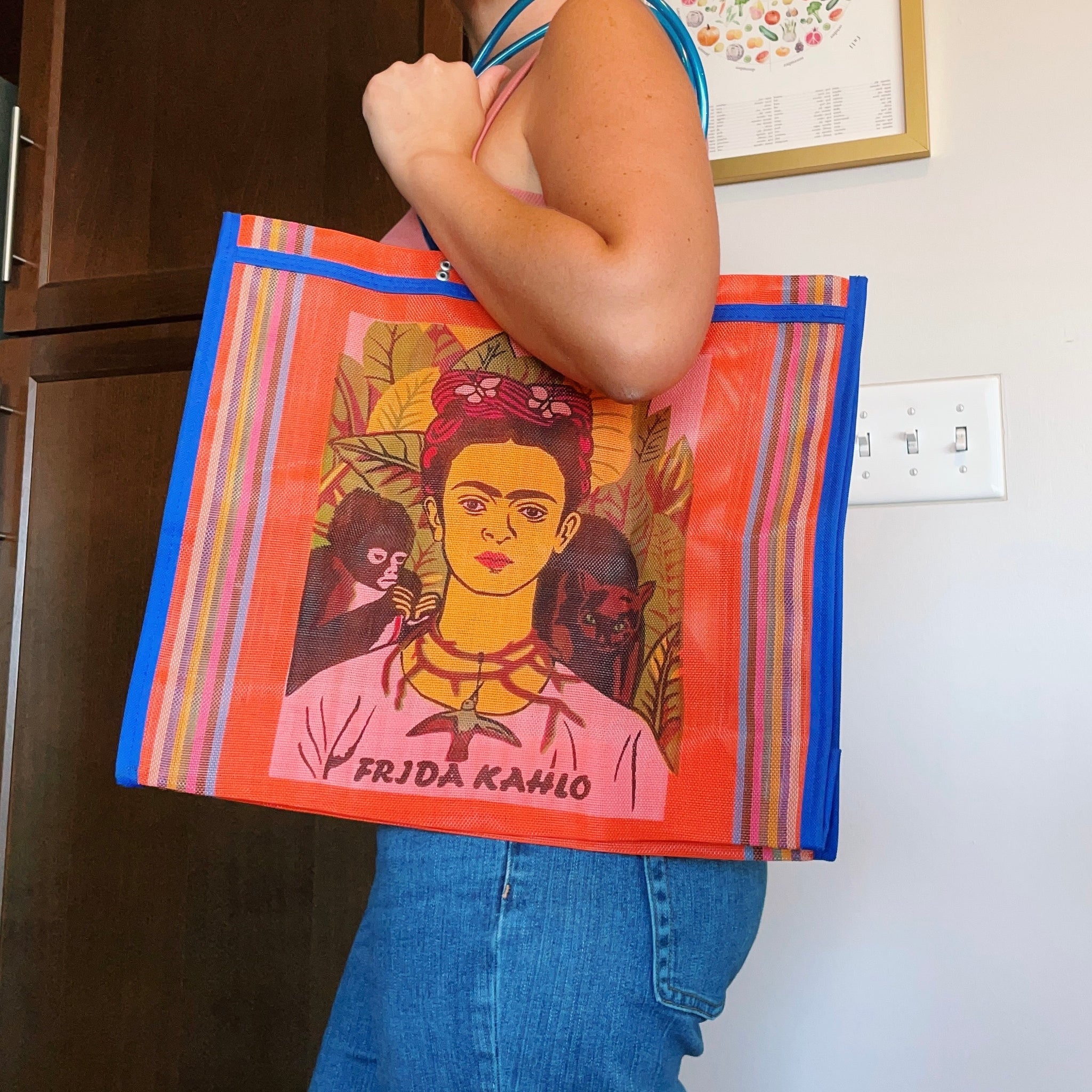 Mexican Two Side Frida Plastic Tote Purse 17 x14 in Pura Vida