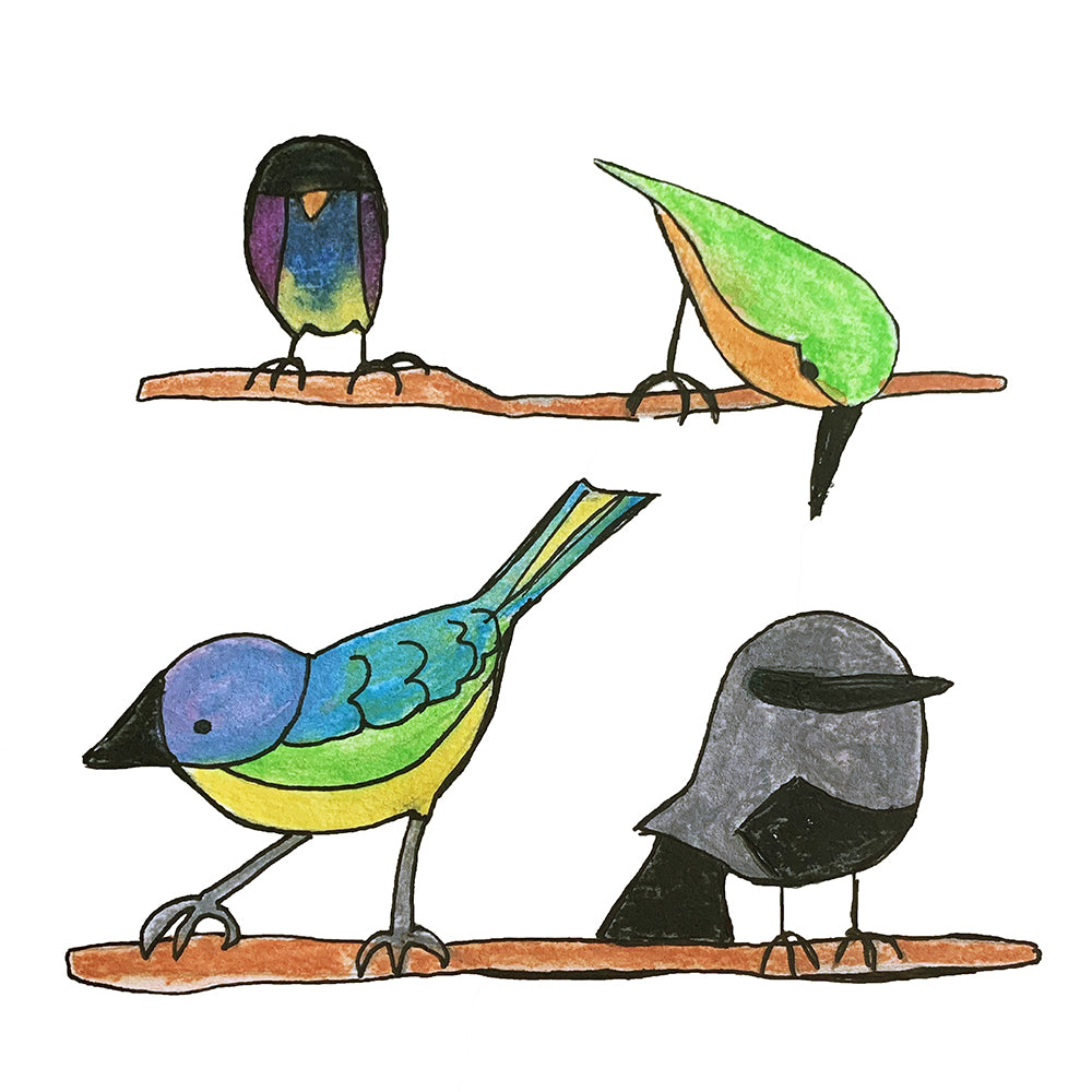 Birds Alphabet Nursery Art Print Pura Vida