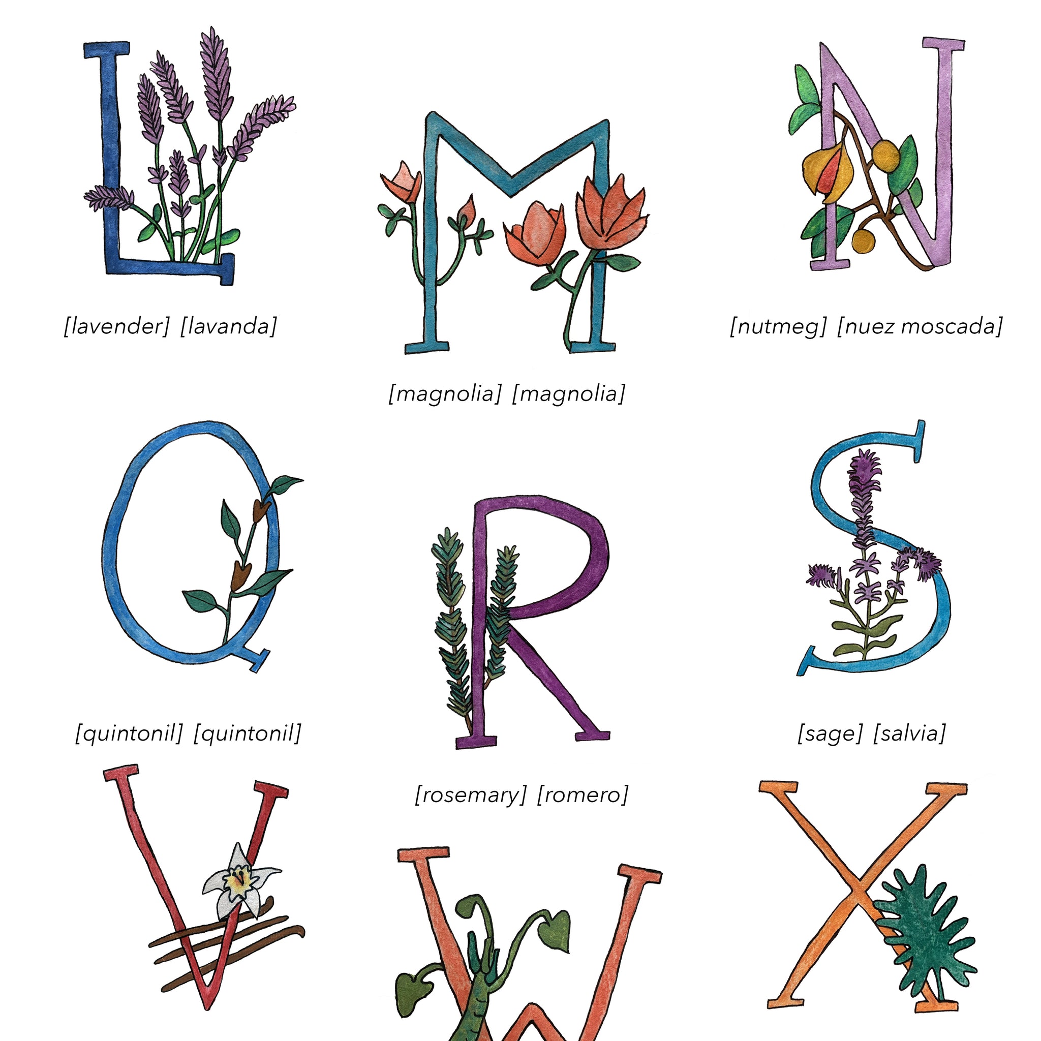 Bilingual English Spanish Herbs and Plants Alphabet Nursery and Kitchen Art Print Pura Vida