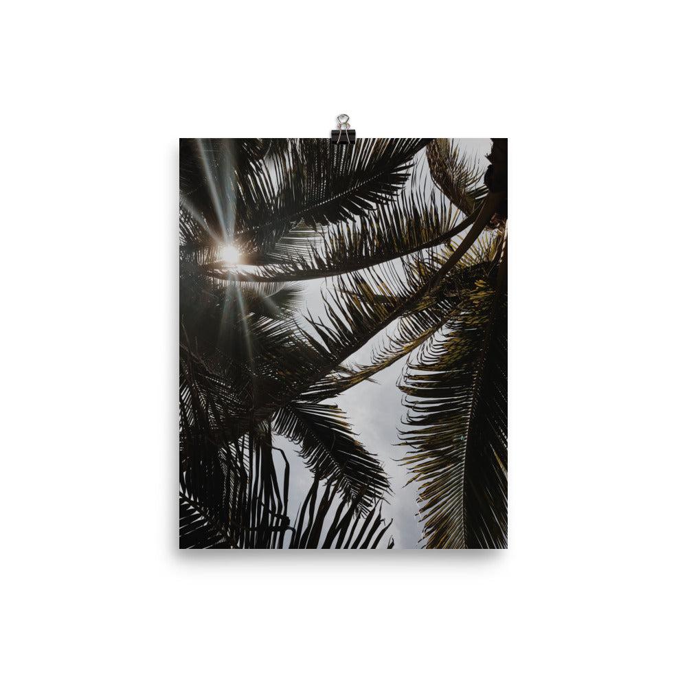 Puerto Escondido Palm Trees Photo paper poster Pura Vida