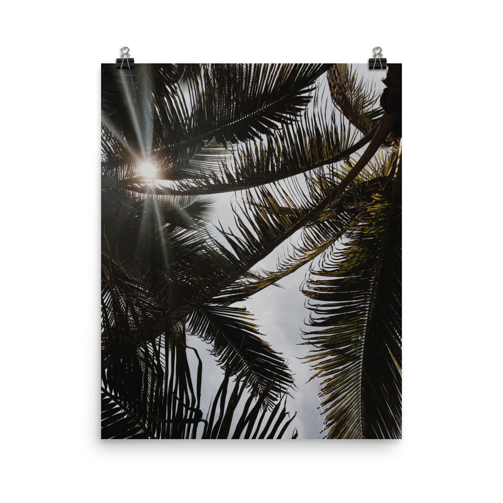Puerto Escondido Palm Trees Photo paper poster Pura Vida
