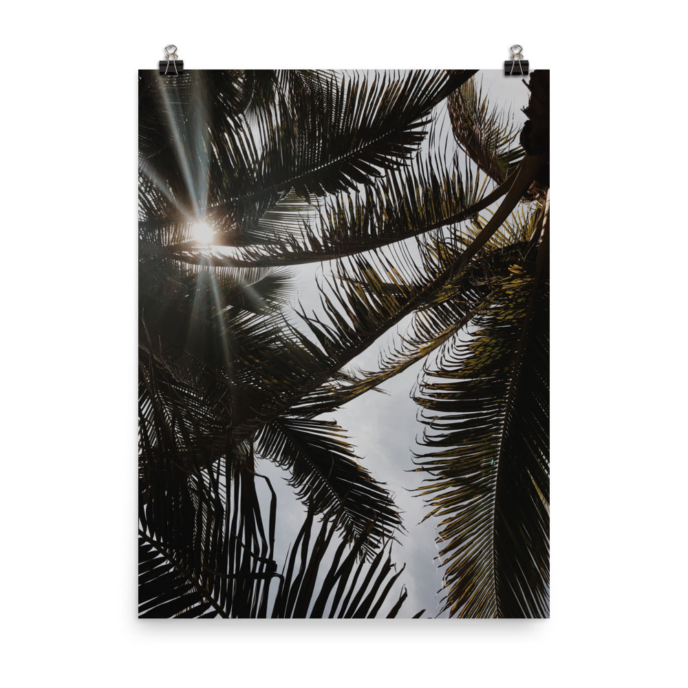 Puerto Escondido Palm Trees Photo paper poster Pura Vida