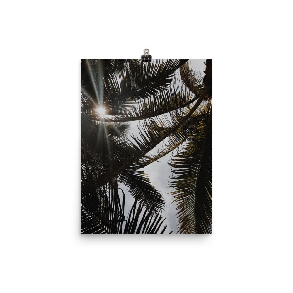 Puerto Escondido Palm Trees Photo paper poster Pura Vida