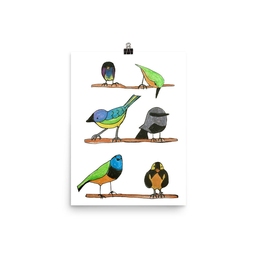 Birds Alphabet Nursery Art Print Pura Vida