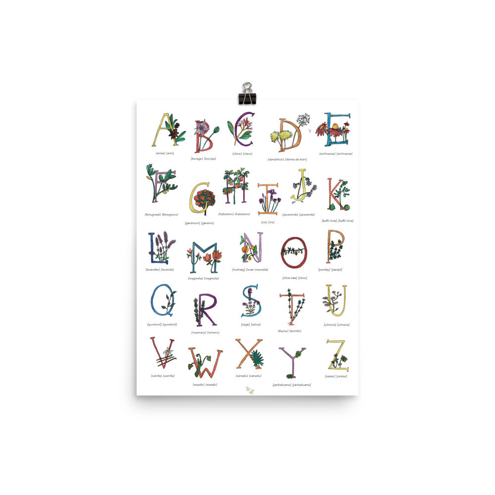 Bilingual English Spanish Herbs and Plants Alphabet Nursery and Kitchen Art Print Pura Vida