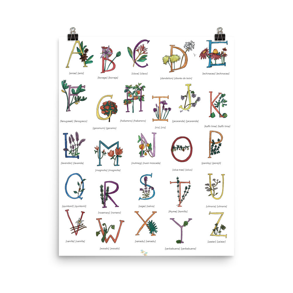 Bilingual English Spanish Herbs and Plants Alphabet Nursery and Kitchen Art Print Pura Vida