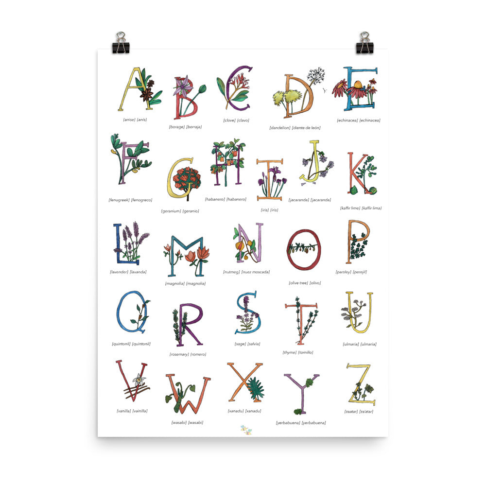 Bilingual English Spanish Herbs and Plants Alphabet Nursery and Kitchen Art Print Pura Vida