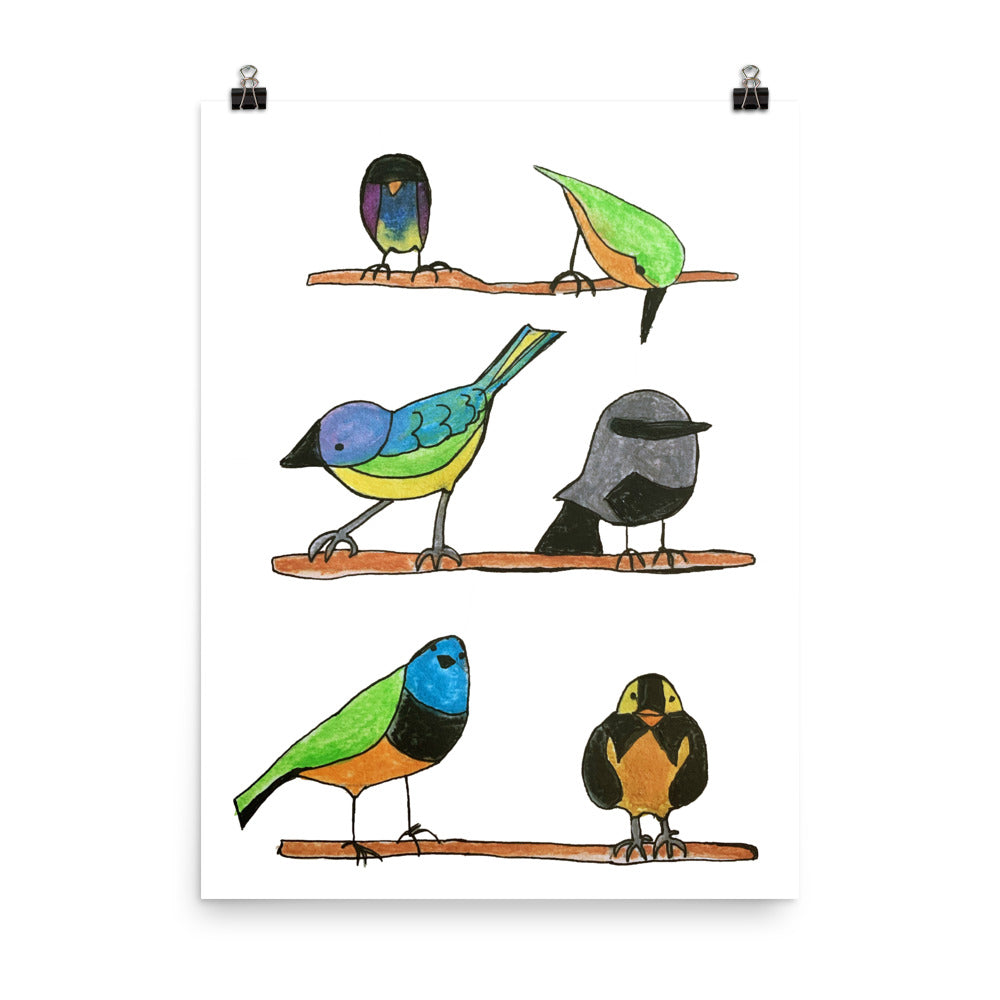 Birds Alphabet Nursery Art Print Pura Vida