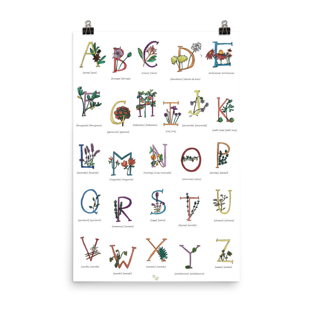 Bilingual English Spanish Herbs and Plants Alphabet Nursery and Kitchen Art Print Pura Vida