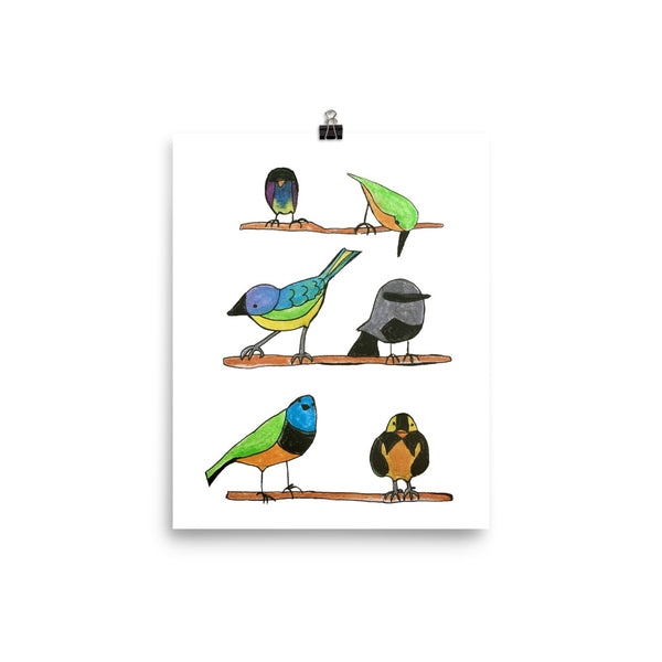 Birds Alphabet Nursery Art Print Pura Vida