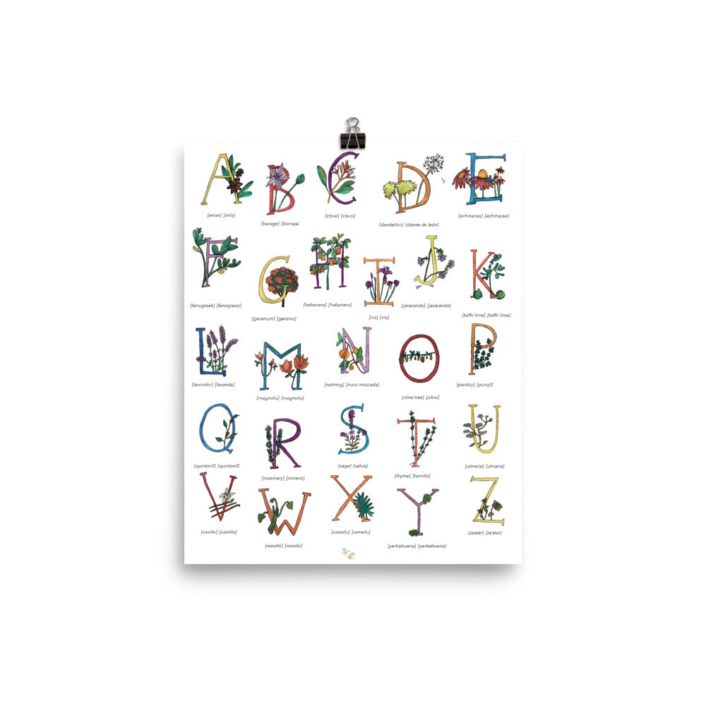 Bilingual English Spanish Herbs and Plants Alphabet Nursery and Kitchen Art Print Pura Vida