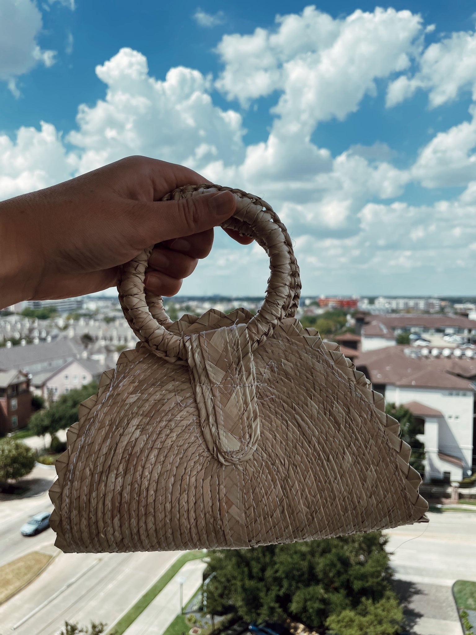 Palm straw mini purse