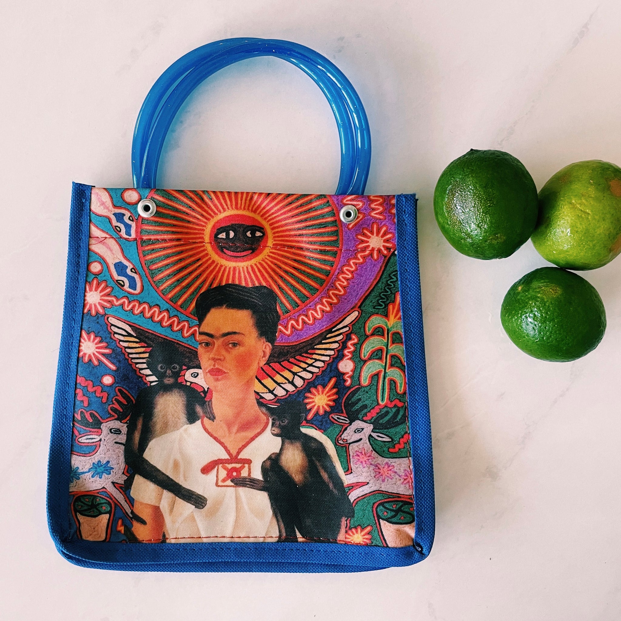Mexican Frida Plastic Tote Purse 8 x 8 in