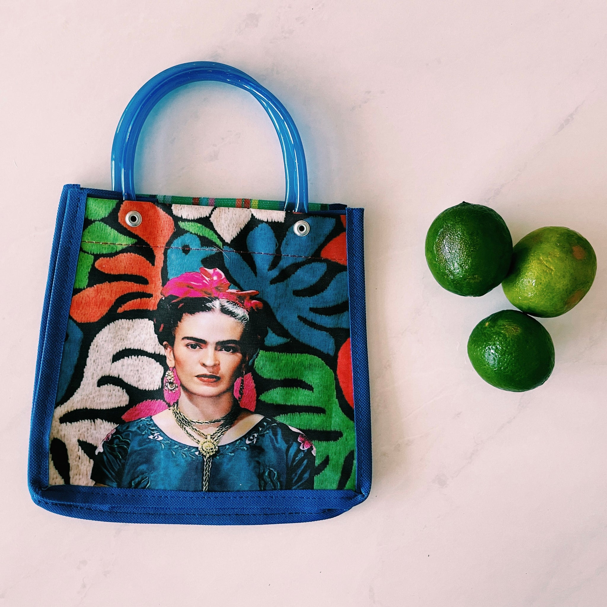 Mexican Frida Plastic Tote Purse 8 x 8 in