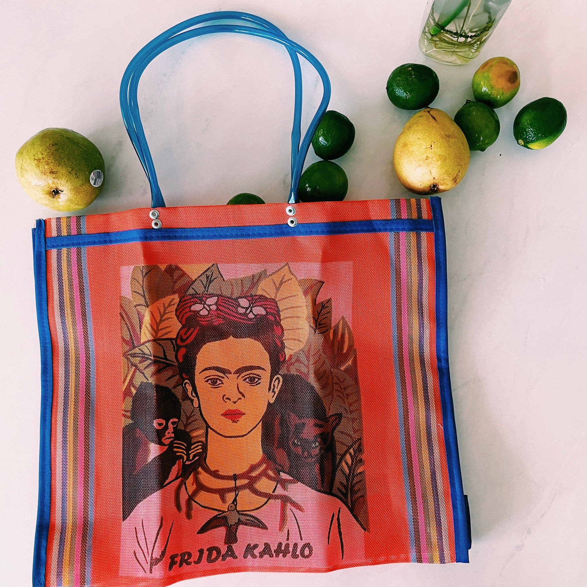 Mexican Two Side Frida Plastic Tote Purse 17 x14 in