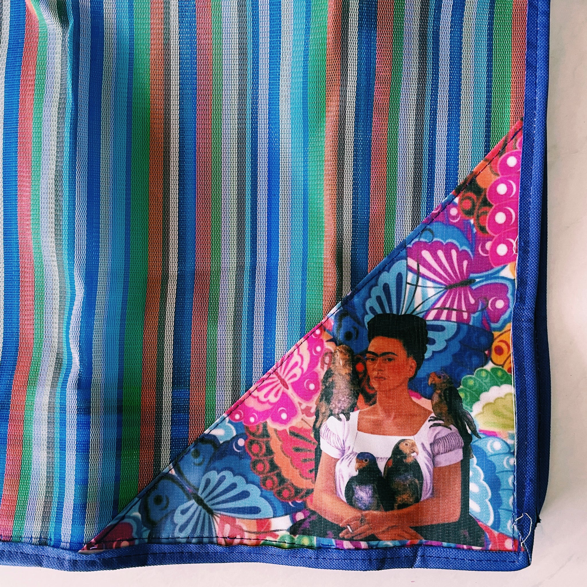 Mexican Triangle Frida Plastic Tote Purse 15 x15 in