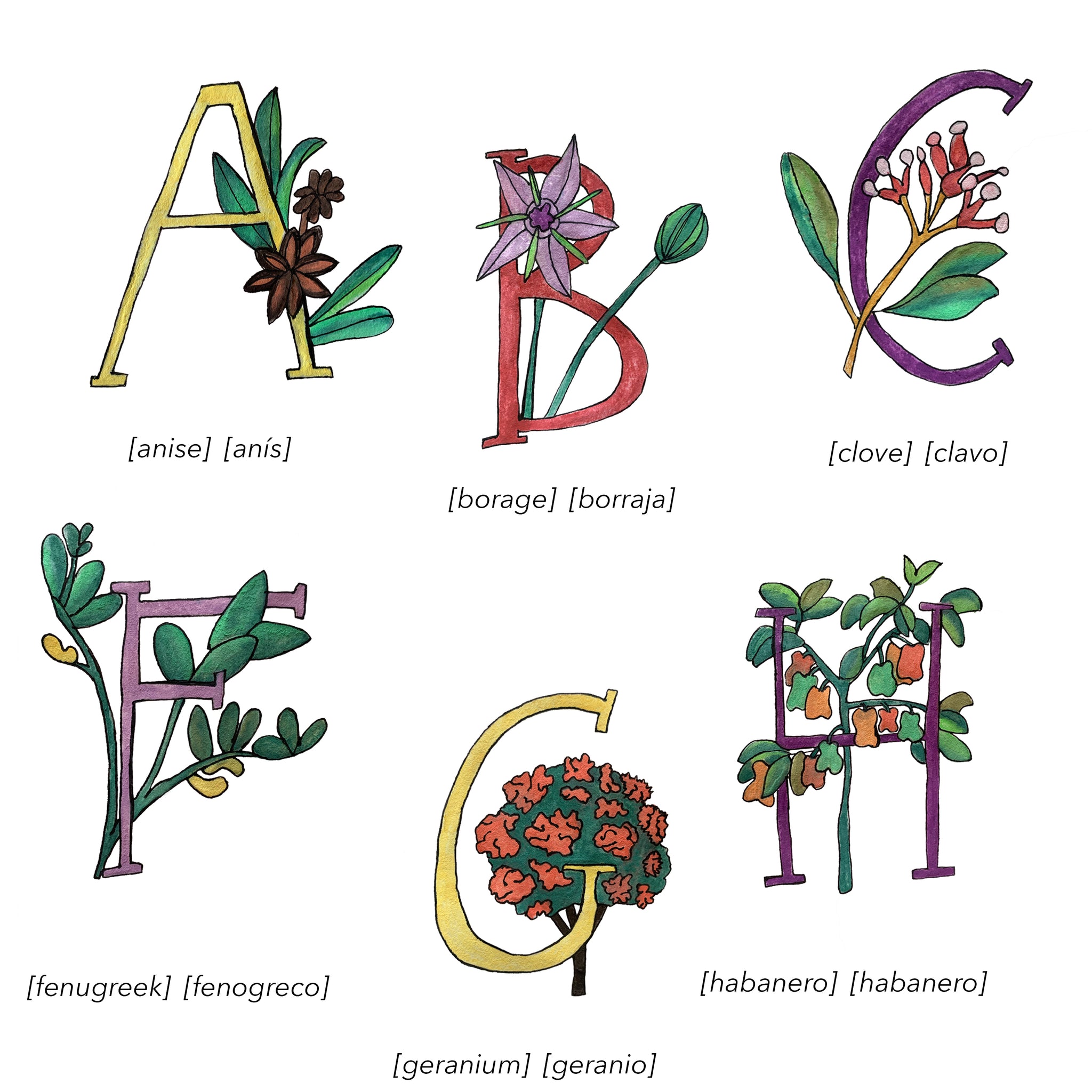 Bilingual English Spanish Herbs and Plants Alphabet Nursery and Kitchen Art Print